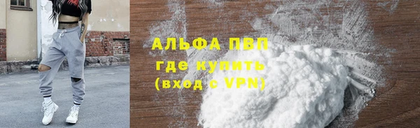 гашик Верея