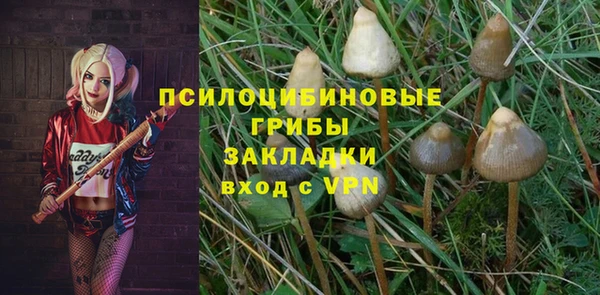 гашик Верея
