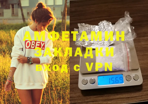 гашик Верея