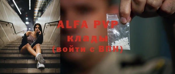 гашик Верея