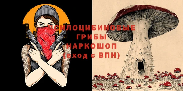 гашик Верея
