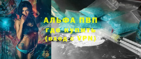 гашик Верея