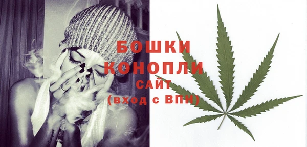 гашик Верея