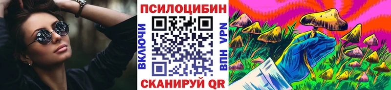 Купить  Балабаново  Псилоцибиновые грибы Cubensis 
